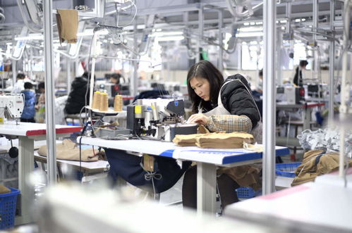 服裝輔料制造業(yè)沖刺開門紅，企業(yè)生產(chǎn)忙助力經(jīng)濟穩(wěn)增長